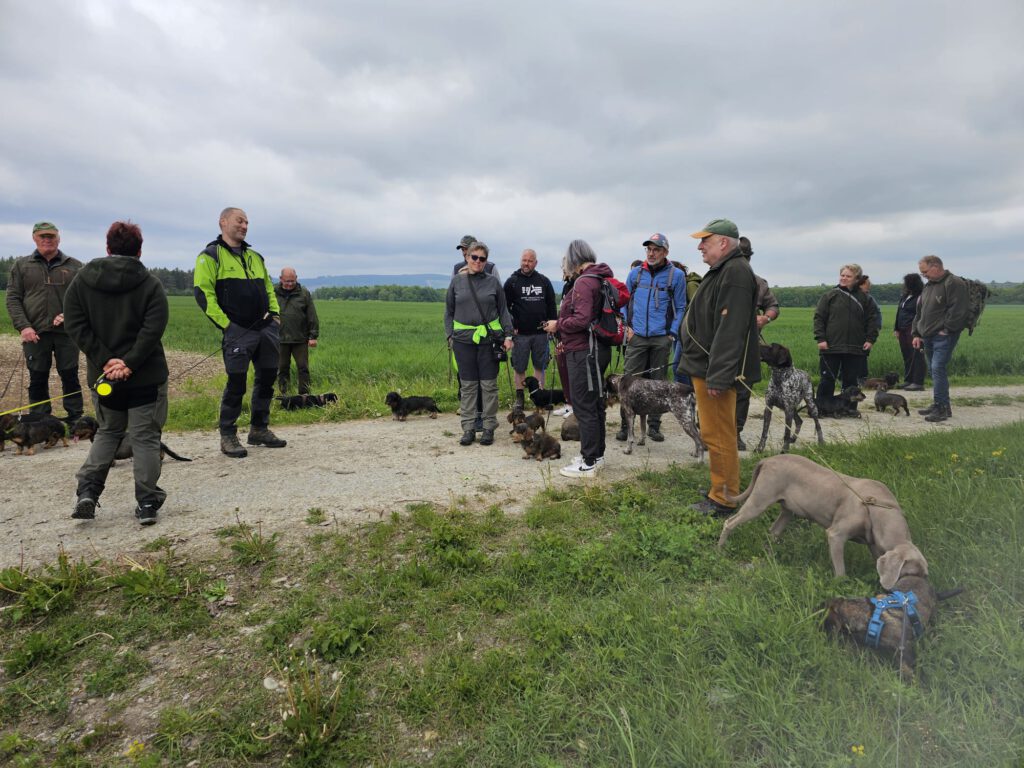 Frühjahrswanderung Teckelhütte Geraberg 6 1000017514
