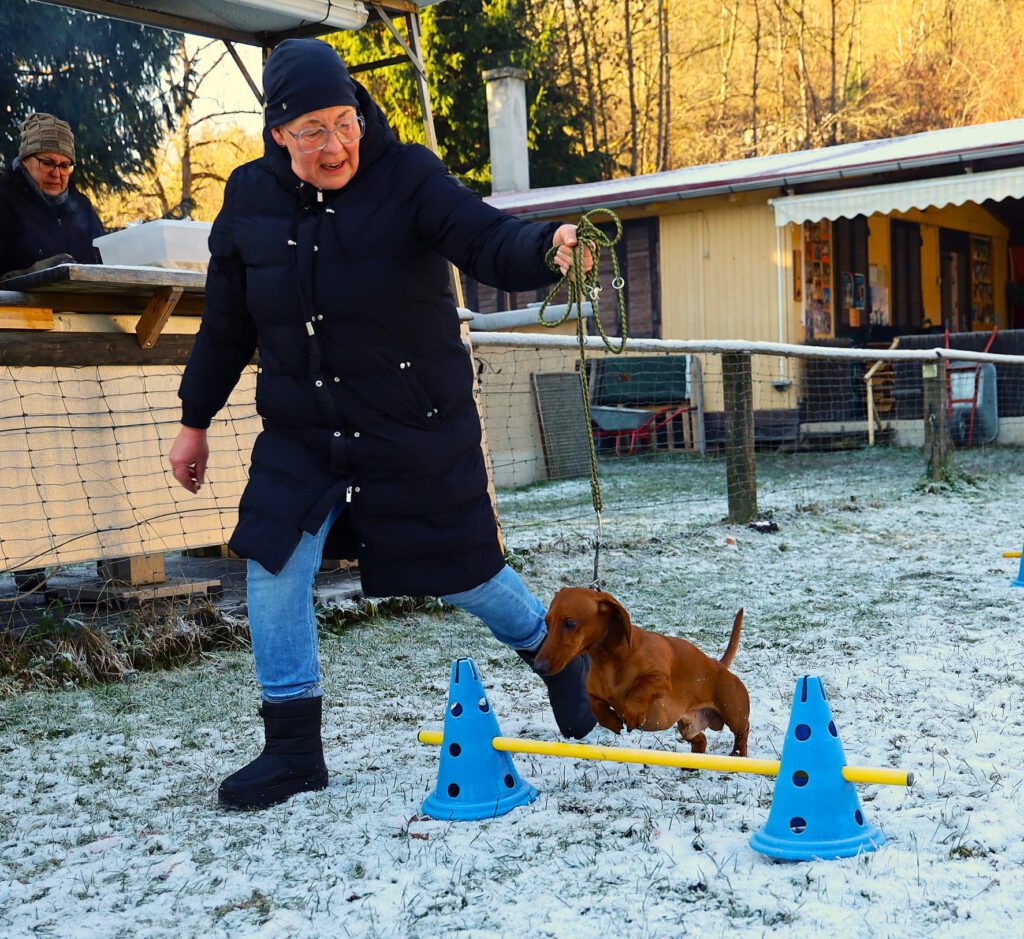 6d686b77 1554 4cc0 bfd5 dfb0a5f0e594