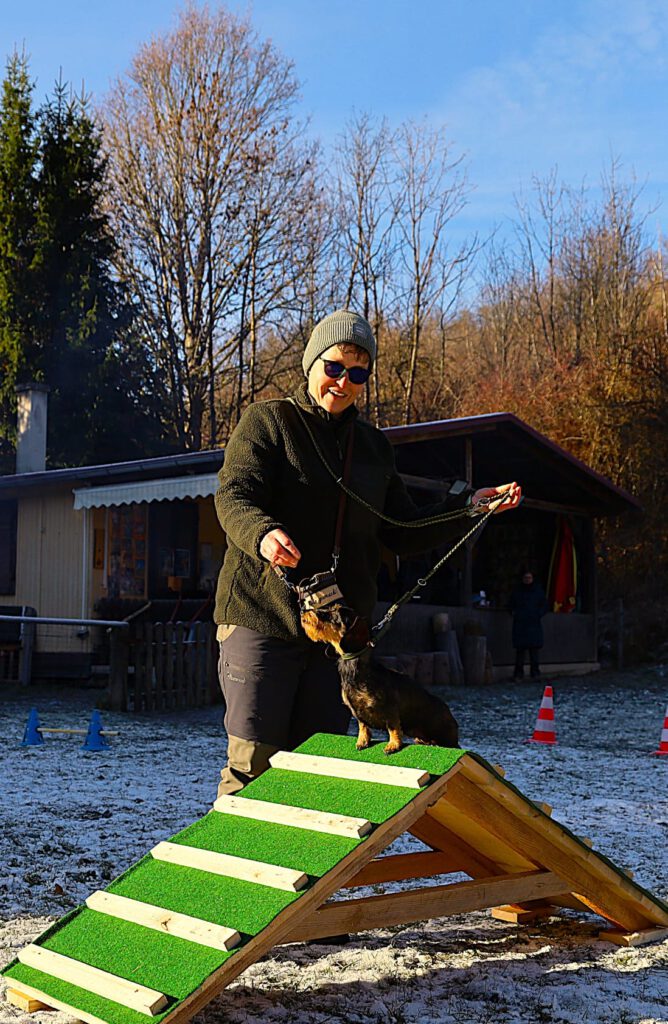 c98aa4d4 1701 4603 ac24 79a08a2676f2