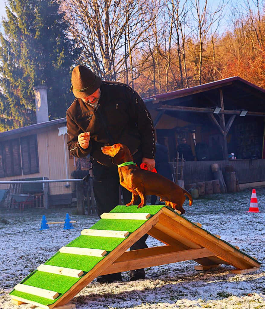 e699bca6 c3e8 4f95 8f64 bba06b80ec20